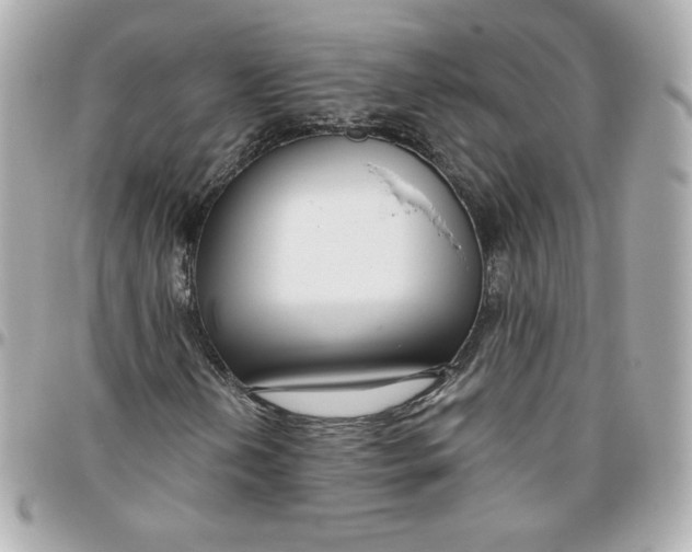 X0000095881202200802011036