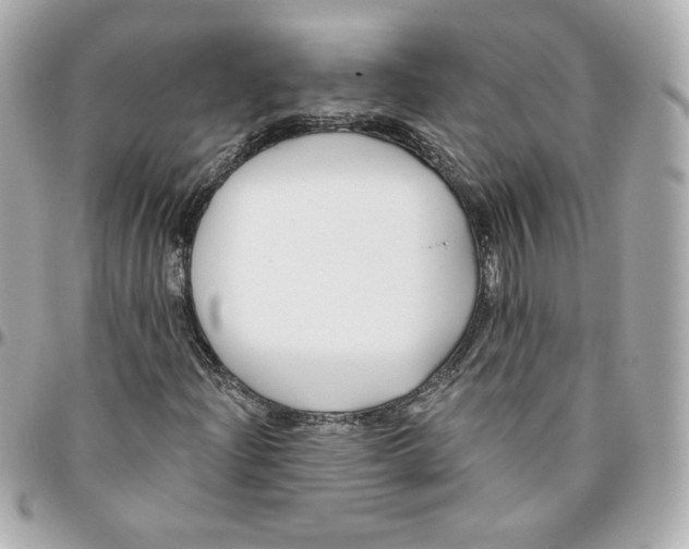 X0000095881204200802011036