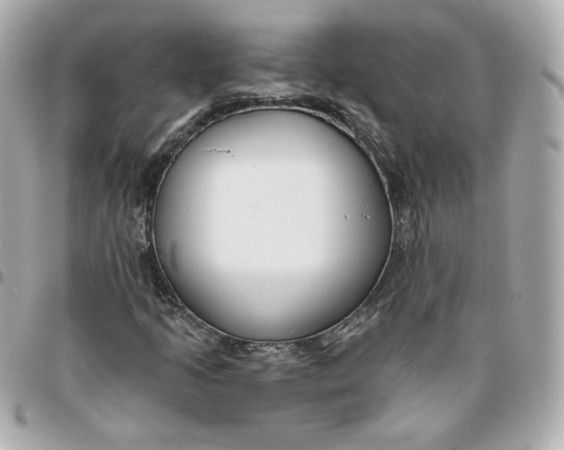 X0000095881205200802011036