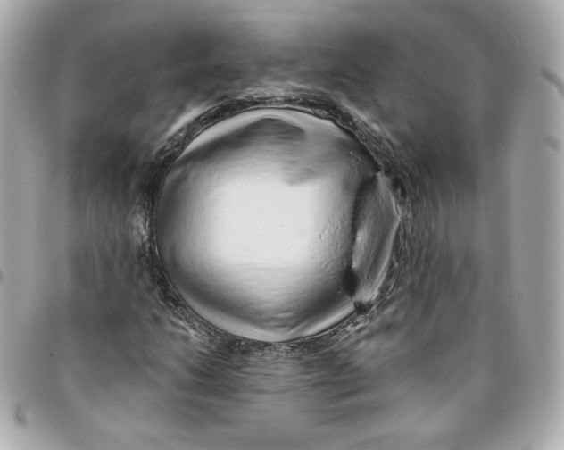 X0000095881206200802011036