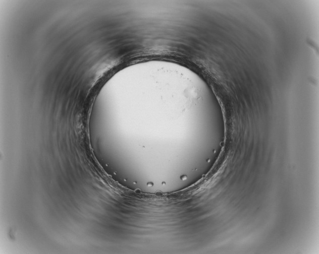 X0000095881210200802011036