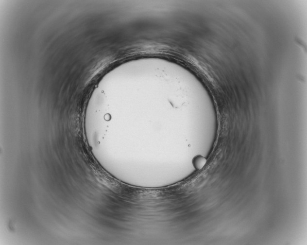 X0000095881211200802011036