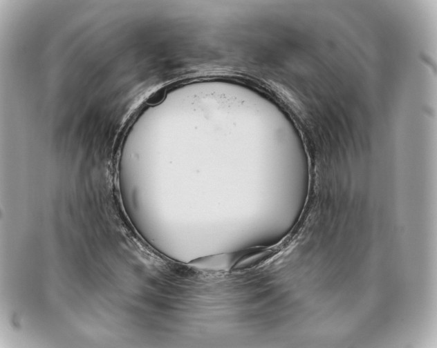 X0000095881212200802011036