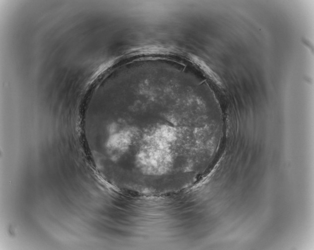 X0000095881213200802011036