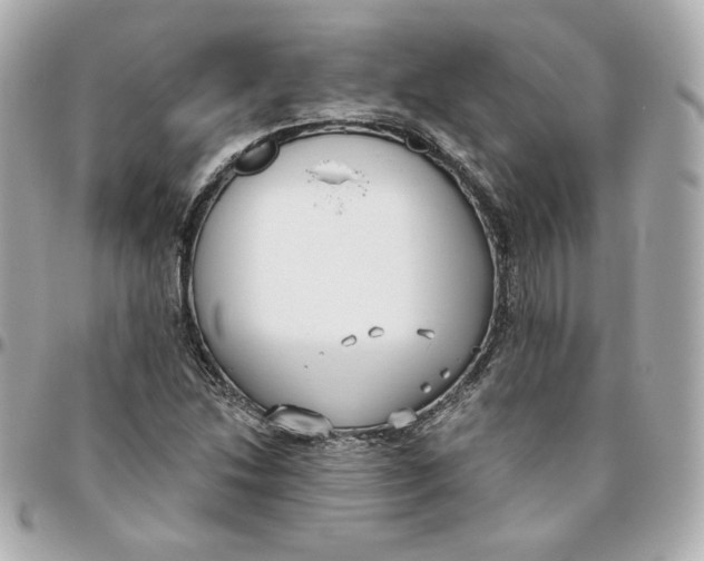 X0000095881214200802011036