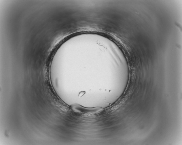 X0000095881215200802011036