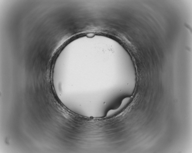 X0000095881216200802011036