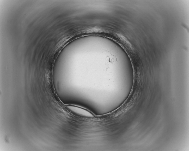 X0000095881217200802011036