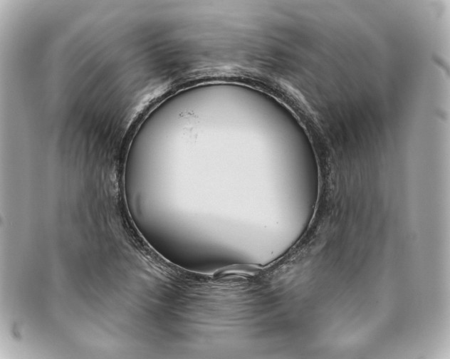 X0000095881218200802011036