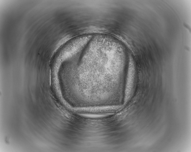 X0000095881219200802011036