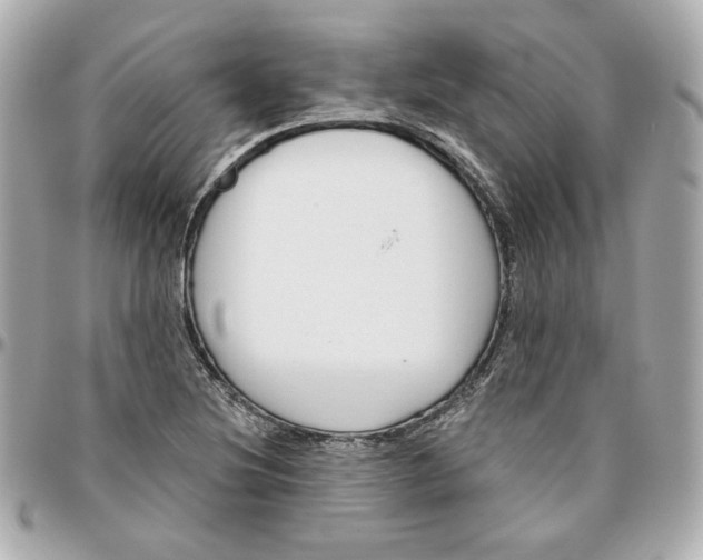 X0000095881220200802011036