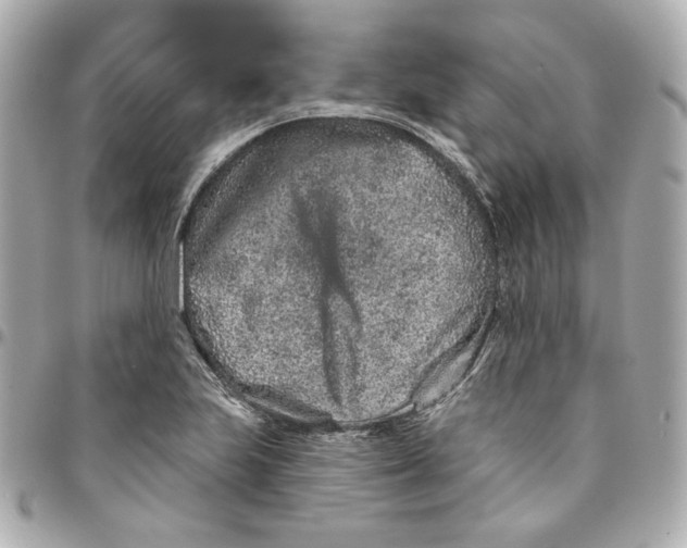 X0000095881223200802011036