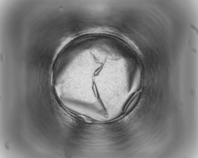 X0000095881224200802011036