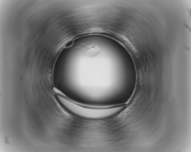 X0000095881225200802011036