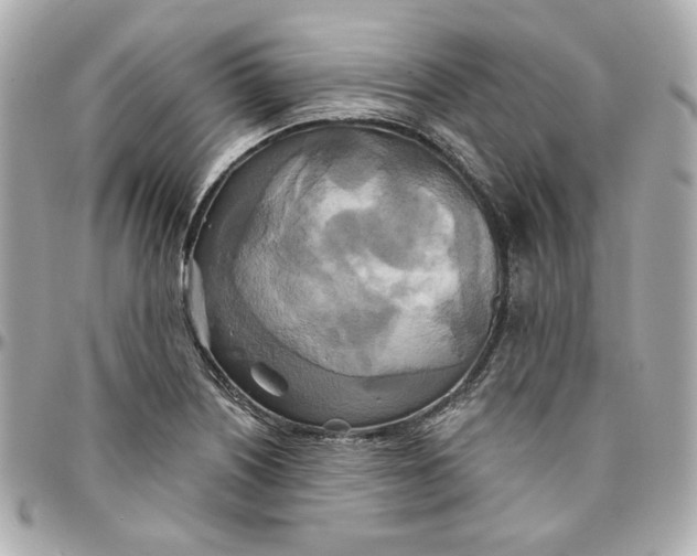 X0000095881226200802011036