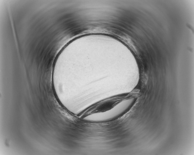 X0000095881228200802011036