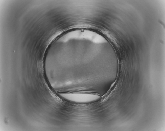 X0000095881229200802011036