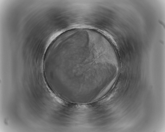 X0000095881231200802011036