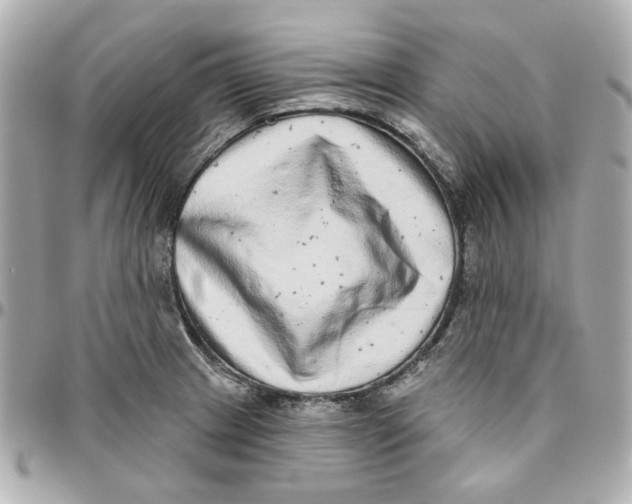 X0000095881233200802011037