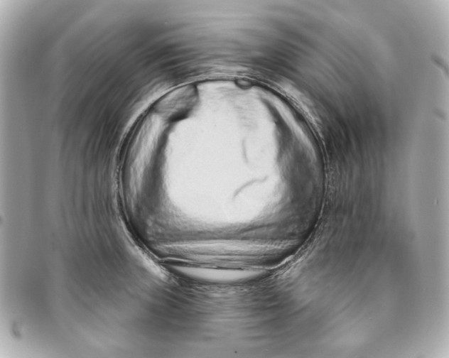 X0000095881235200802011037