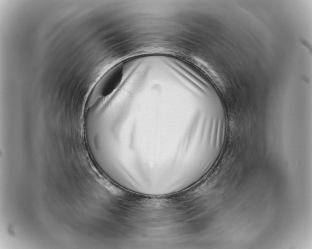 X0000095881236200802011037