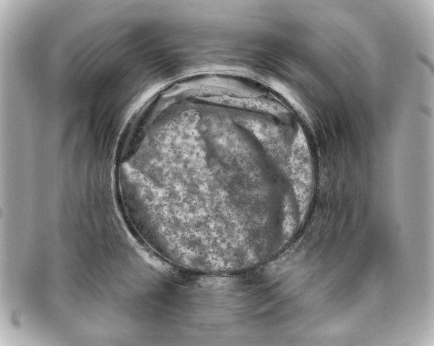 X0000095881237200802011037