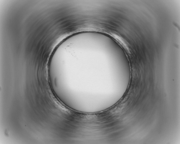 X0000095881238200802011037