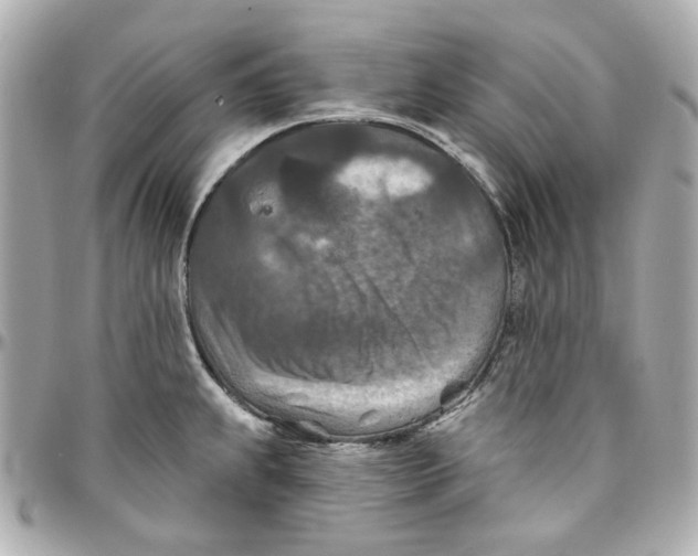 X0000095881239200802011037