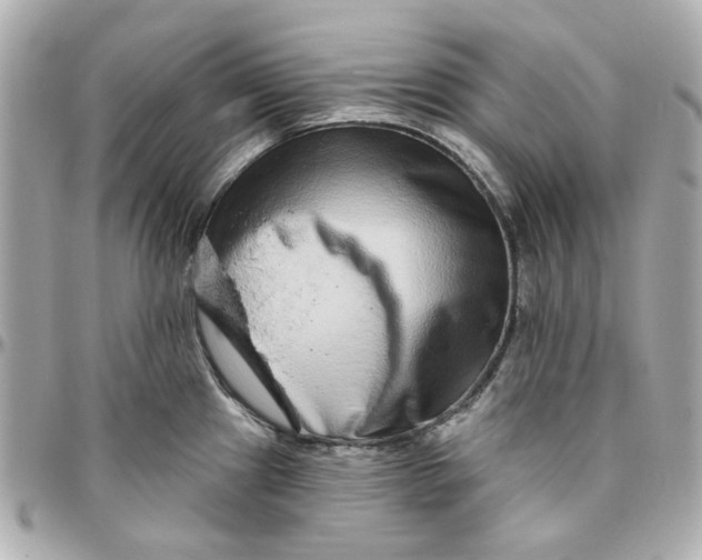 X0000095881241200802011037