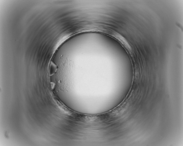 X0000095881242200802011037