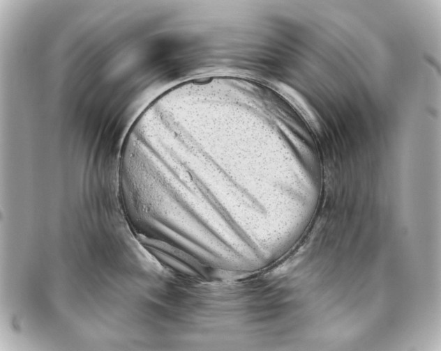 X0000095881244200802011037