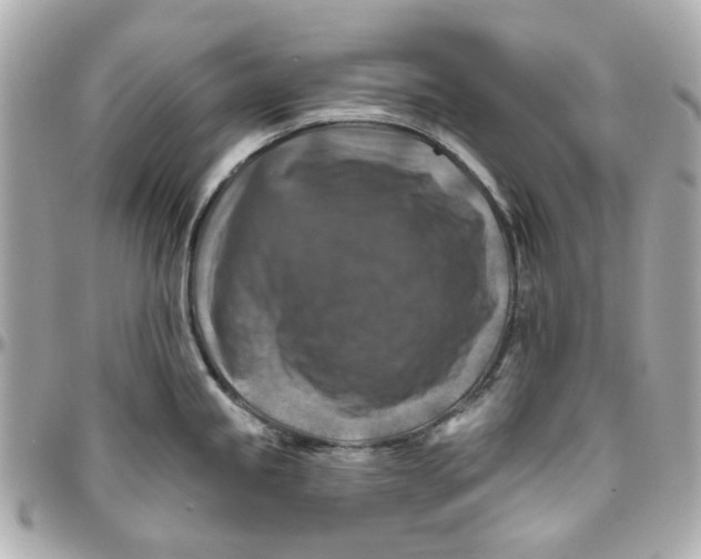 X0000095881245200802011037