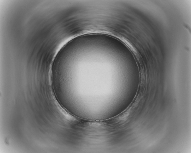 X0000095881246200802011037