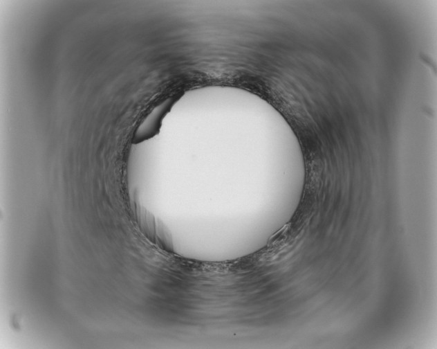 X0000095881249200802011036