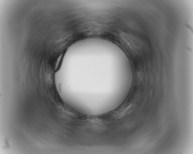 X0000095881250200802011036