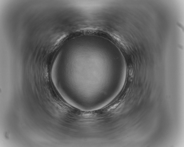 X0000095881252200802011036