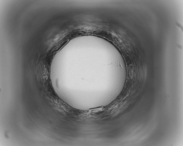 X0000095881253200802011036