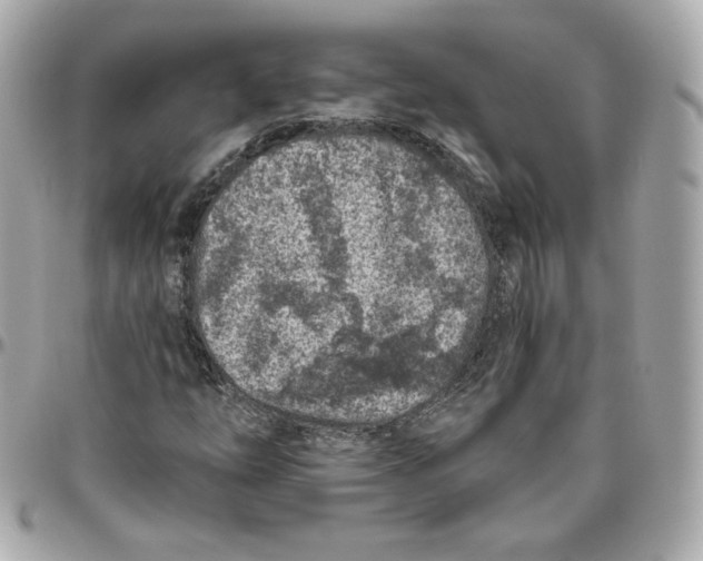 X0000095881254200802011036