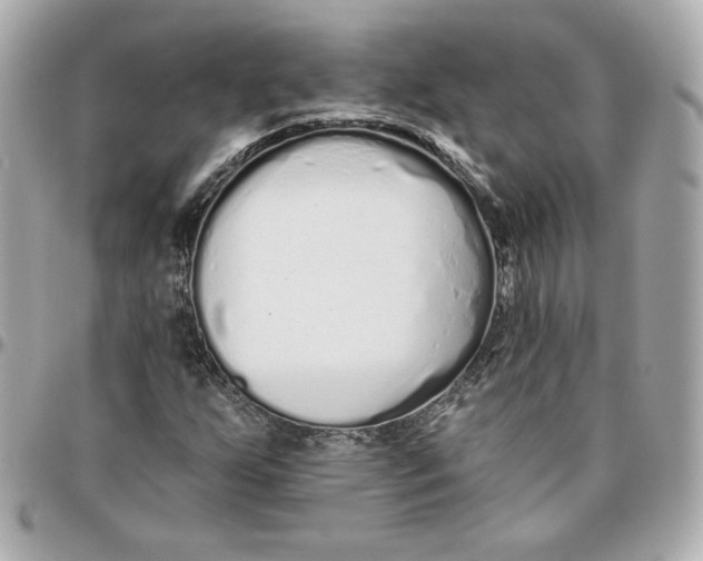 X0000095881255200802011036