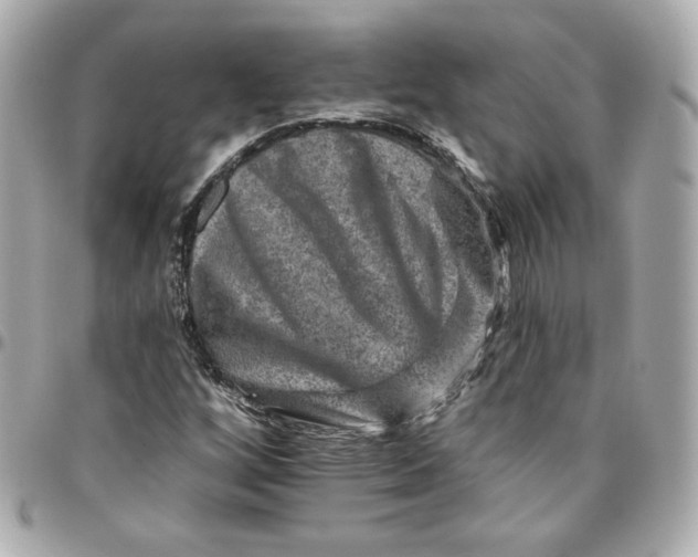 X0000095881256200802011036