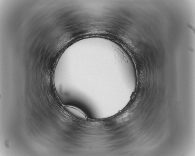 X0000095881257200802011036