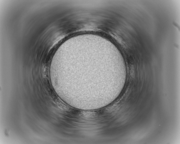 X0000095881258200802011036