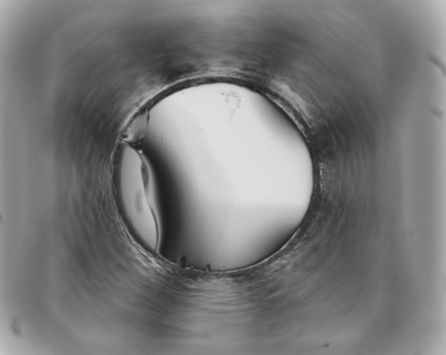 X0000095881260200802011036