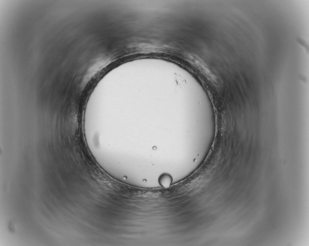 X0000095881261200802011036