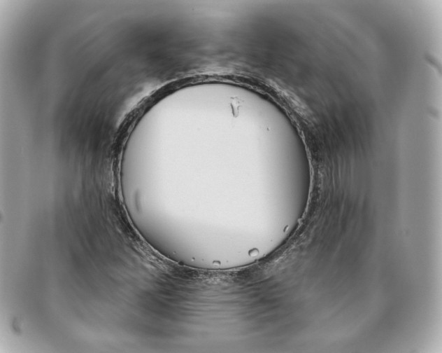 X0000095881262200802011036