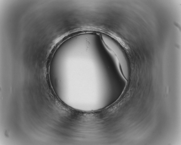 X0000095881264200802011036