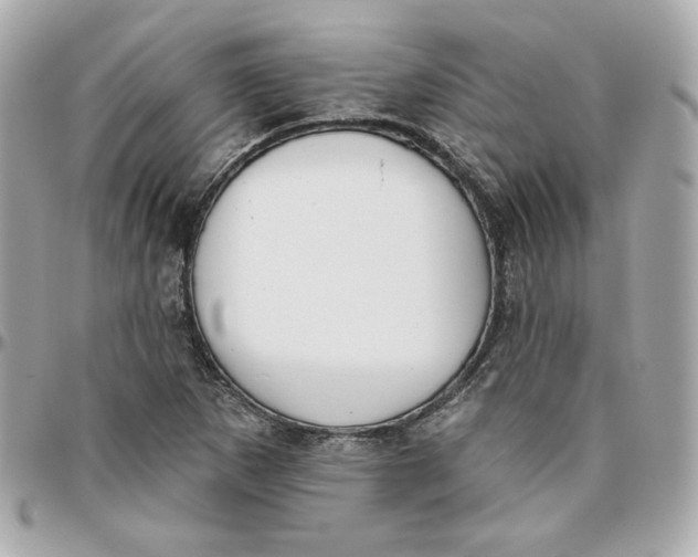 X0000095881265200802011036