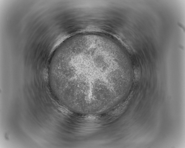 X0000095881266200802011036