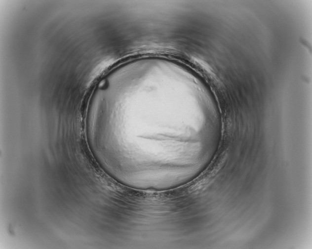 X0000095881267200802011036