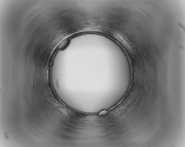 X0000095881268200802011036